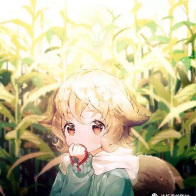 王毅介绍中美元首会晤情况和共识